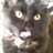alison_muz's profile image