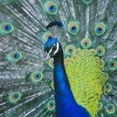 mbaggot02's profile picture. 