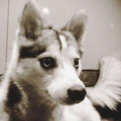 TheDockerDog's profile picture. A Great Smile is better than a sexy body.... One somebody is better than nobody....A hug is better than be alone....A friend is better than anything...