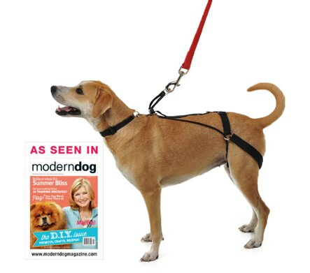 Horgan_Harness's profile picture. The Horgan Dog Harness creates a harmless sensation around the back legs designed to divert your dog’s attention from the desire to pull. Veterinarian Designed.