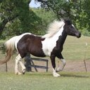 Kim Crayton - @SoEasyToShare - Twitter