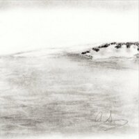 SunyZokolGolfDesign (@sunyzokolgolf) 's Twitter Profile