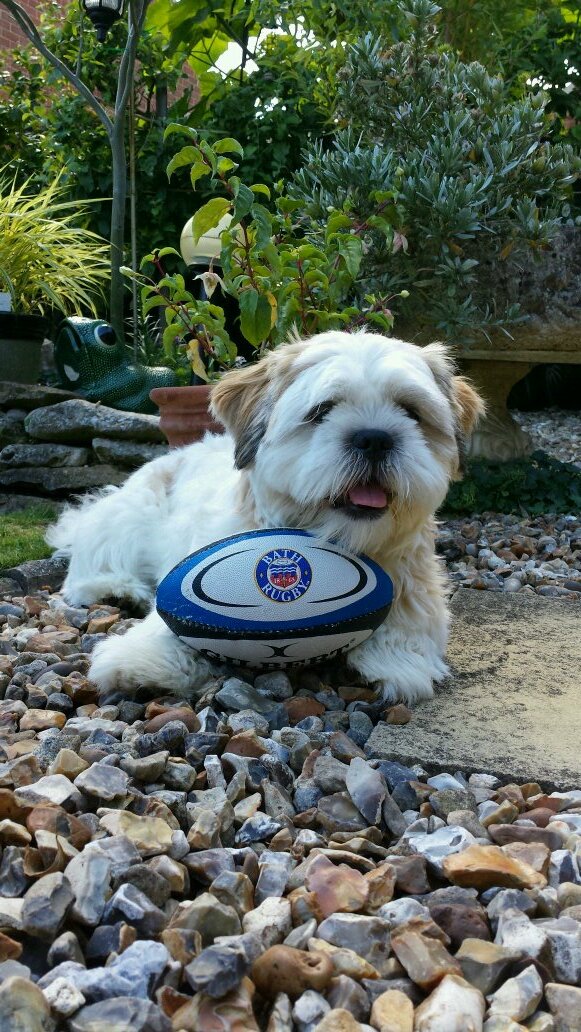 NickM1910's profile picture. 