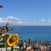 Villa Primavera B&B (@villaprimaveraa) Twitter profile photo Villa Primavera B&B (@villaprimaveraa) Twitter profile photo