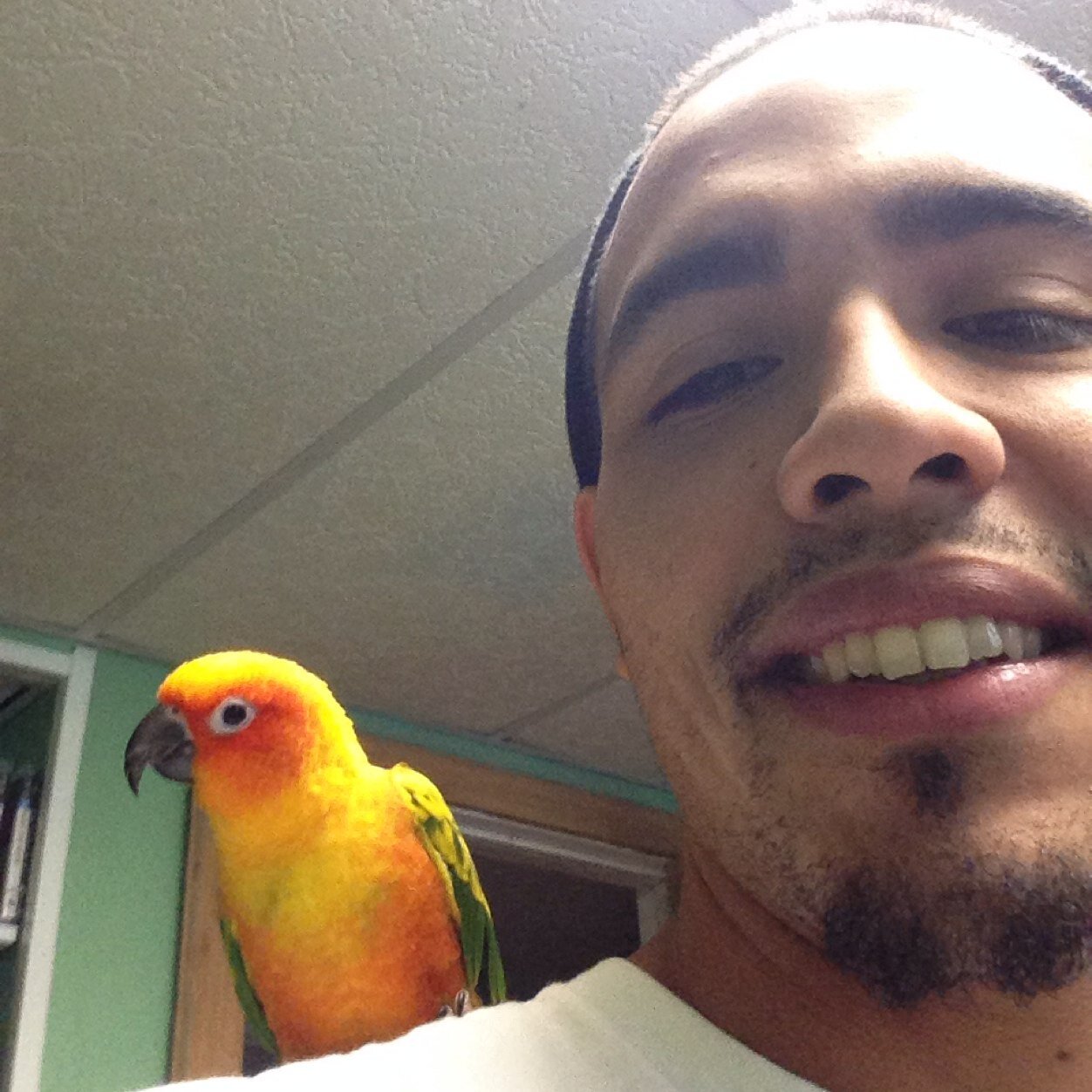 lilpootpr88's profile picture. 