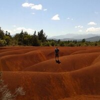 Matías Gómez Camus (@matias_gomezc) 's Twitter Profile Photo