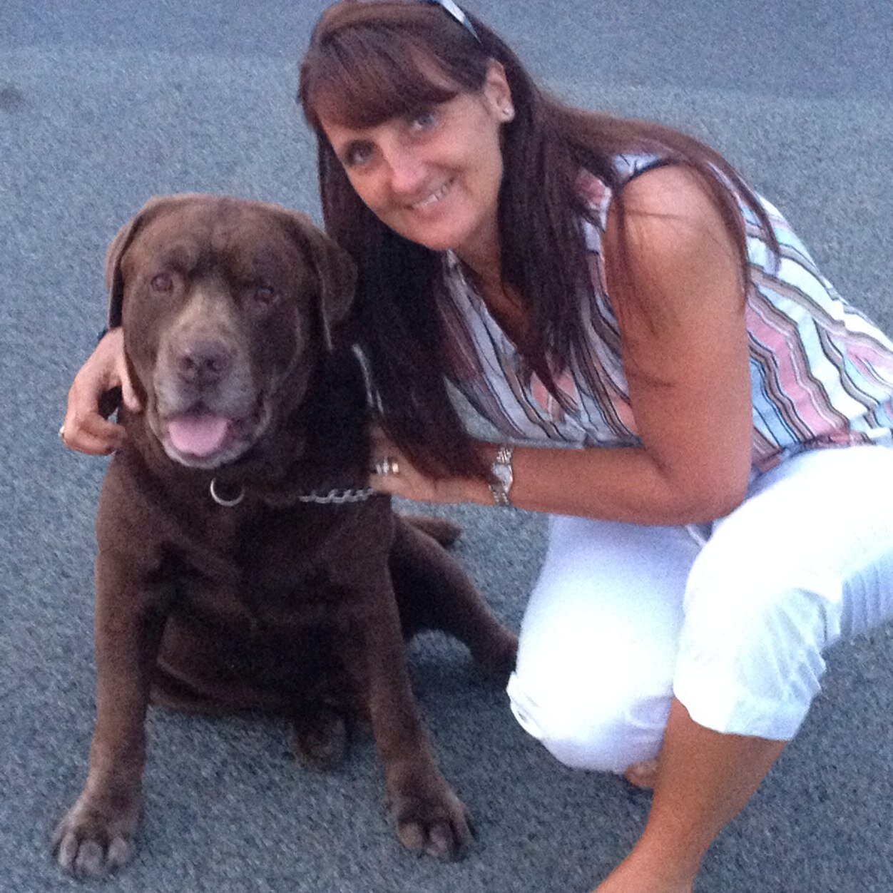 elainbty's profile picture. 