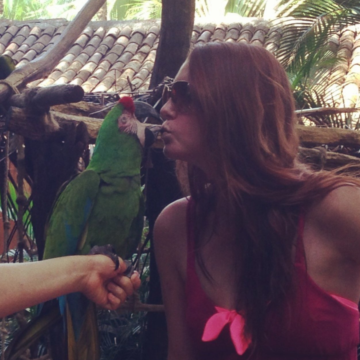 KatyBird00's profile picture. Motivated, Self Driven, Business Women who quit her job to follow her dream of volunteering while backpacking around the world!!