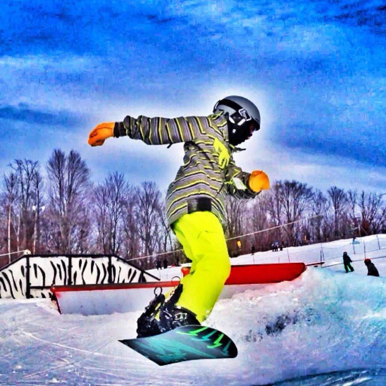Cross-country, snowboarding, lacrosse