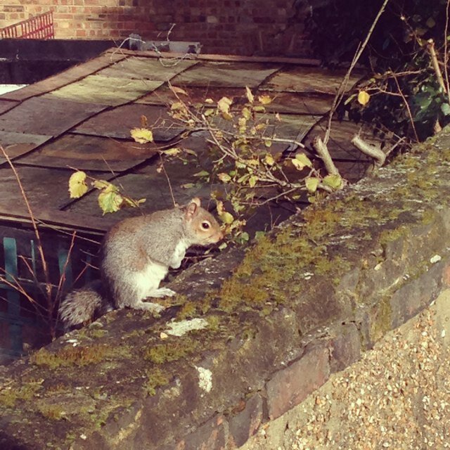 emma_fergie's profile picture. http://t.co/vWwDq5pQh9