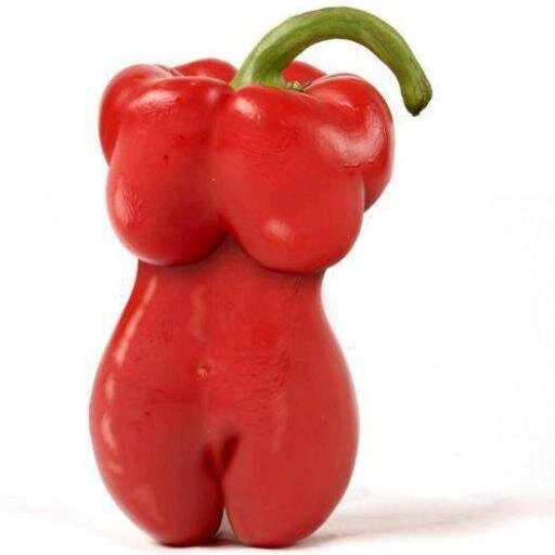 tamaroons's profile picture. 