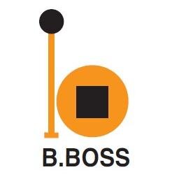 A solution for create an Effective and Professional Website.