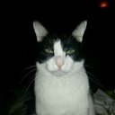 edward lerma - @edwardlerma - Twitter