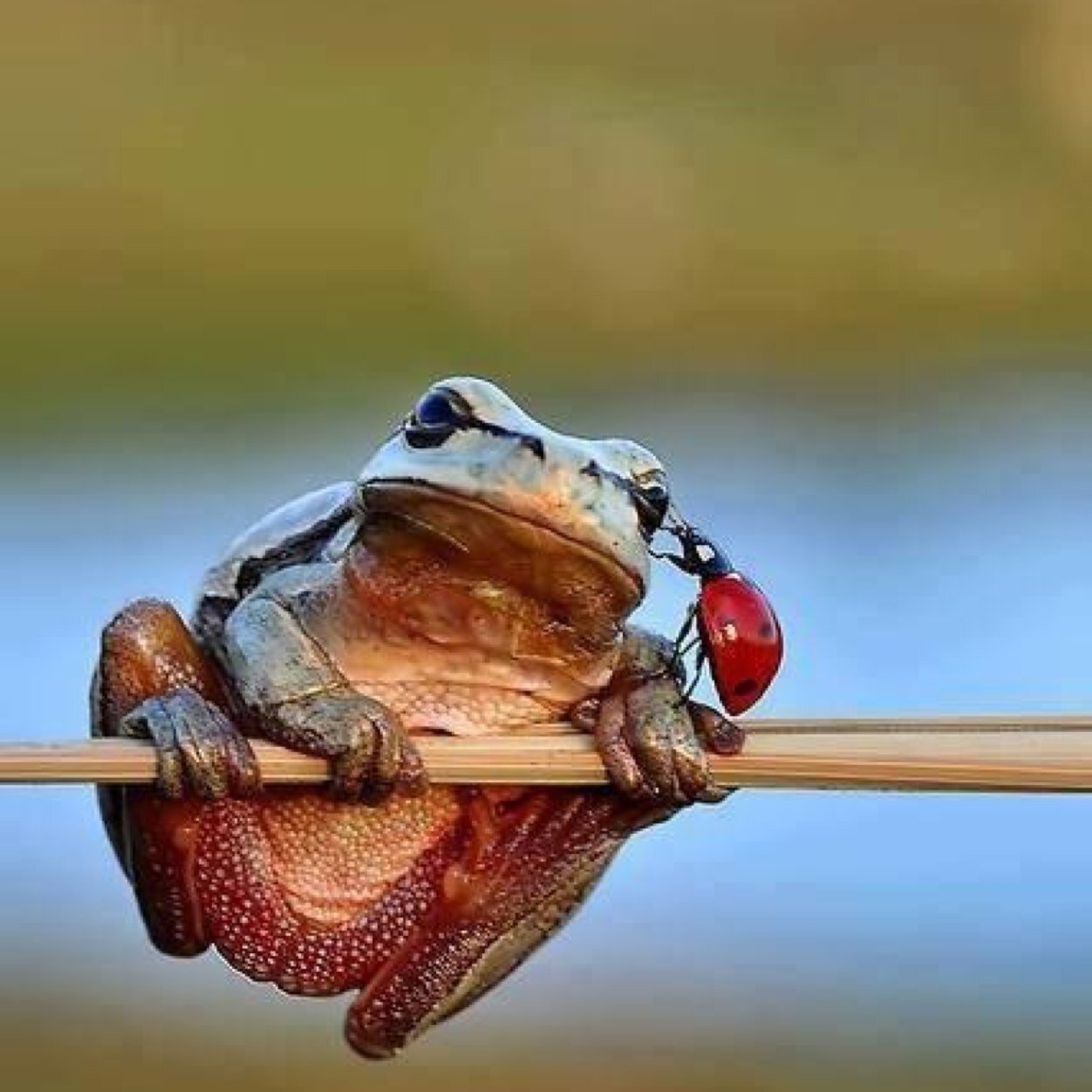 DomLoMa's profile picture. Fai sempre il massimo ora!! ...non rimandare