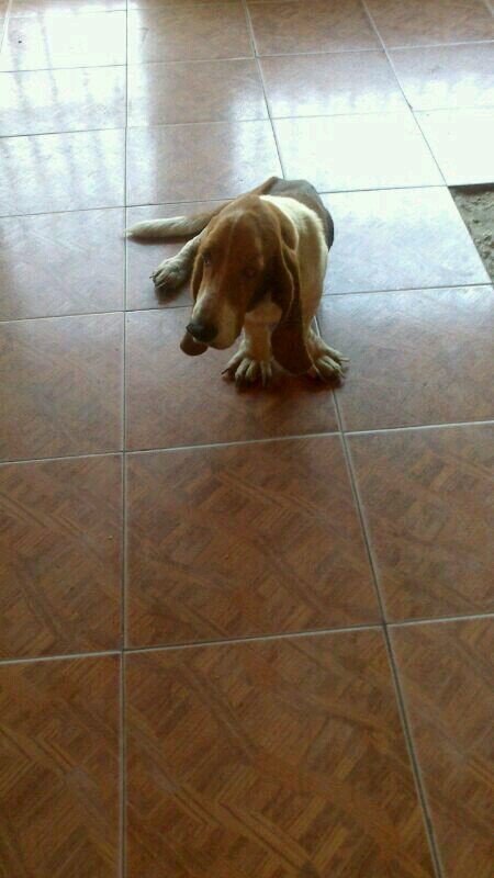 corpoacero2013's profile picture. 