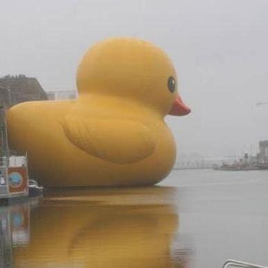 Soy un pato que te hipnotiza y te destruye poco a poco
