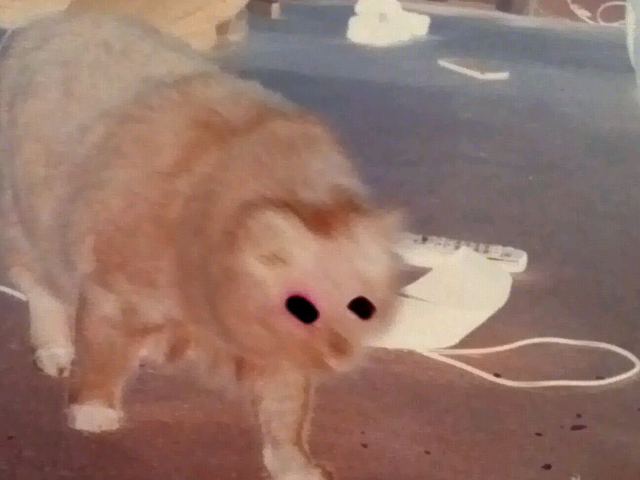 you stink
