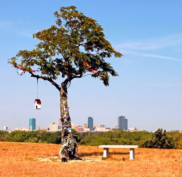 Increase public awareness of East Fort Worth. Grow, grow, grow!!!