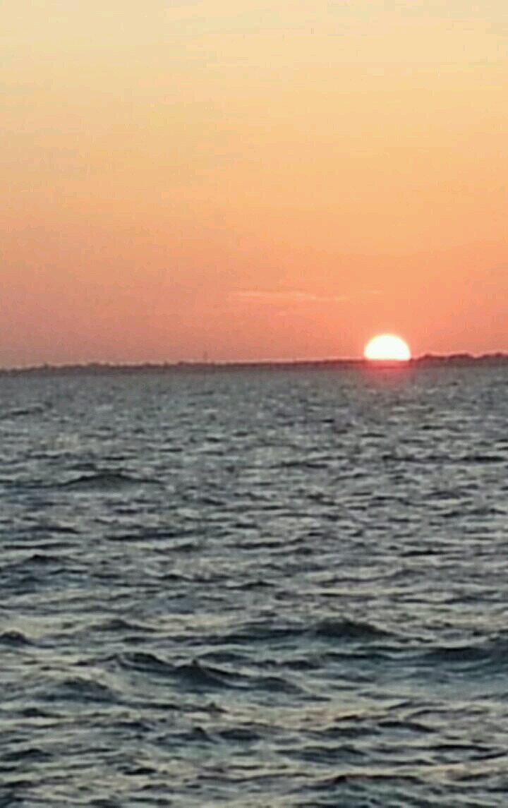 ftrisini's profile picture. 