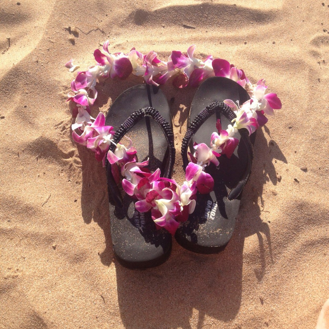 marianneteam's profile picture. 