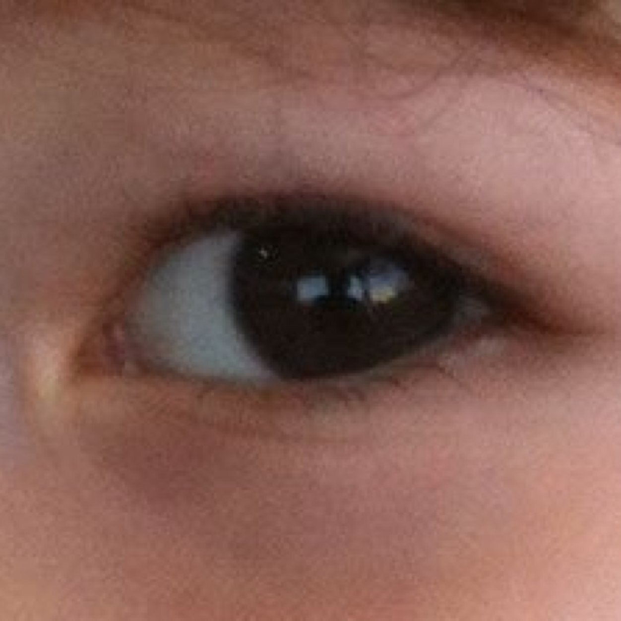 MassimilianoA1's profile picture. 