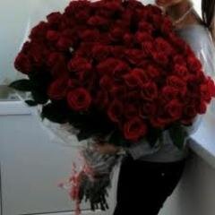 RanaahmedRa's profile picture. love :* shahed 7abeby :*