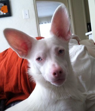 frabs715's profile picture. 