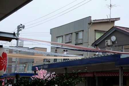 fortmsdlocsy's profile picture. 