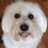 jcafrelico's profile image