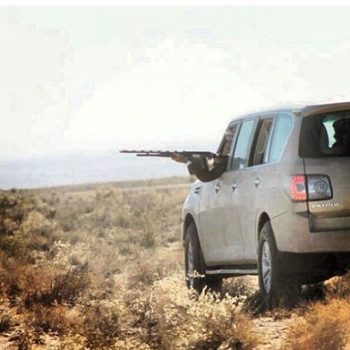 ميم .. حاء ..ميم ..دال .. ووتتساقط الاحرف خجلا ،،/