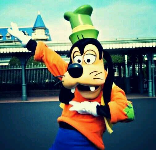 0525_goozu's profile picture. 専門1年だけどもうすぐ2年！ ディズニー/グーフィー/ショーパレード/グリ/写真/寝ること/食べること/動物(//∇//)大好きです。RT多いです！たまに無言フォローです。ごめんなさい(ToT)