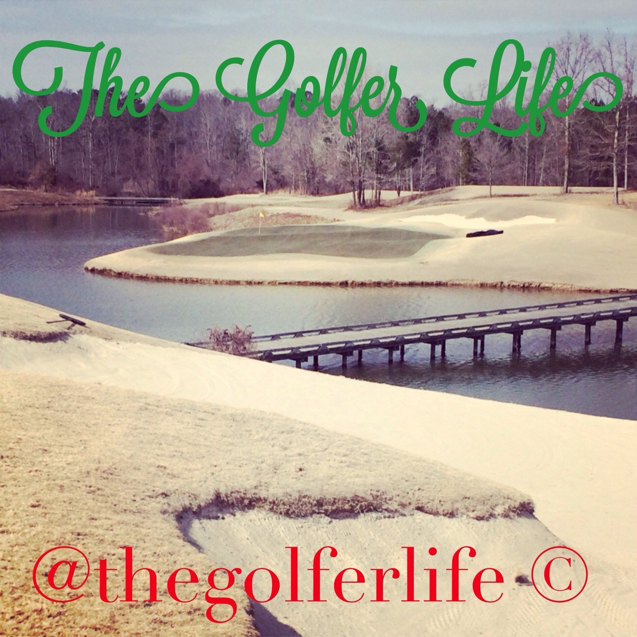 Golf is our life! Follow us if you love to play golf. ⛳️