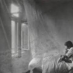 anggiputriramad's profile picture. smangt hr snen,d