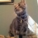 David Hirsh - @End3r22 - Twitter