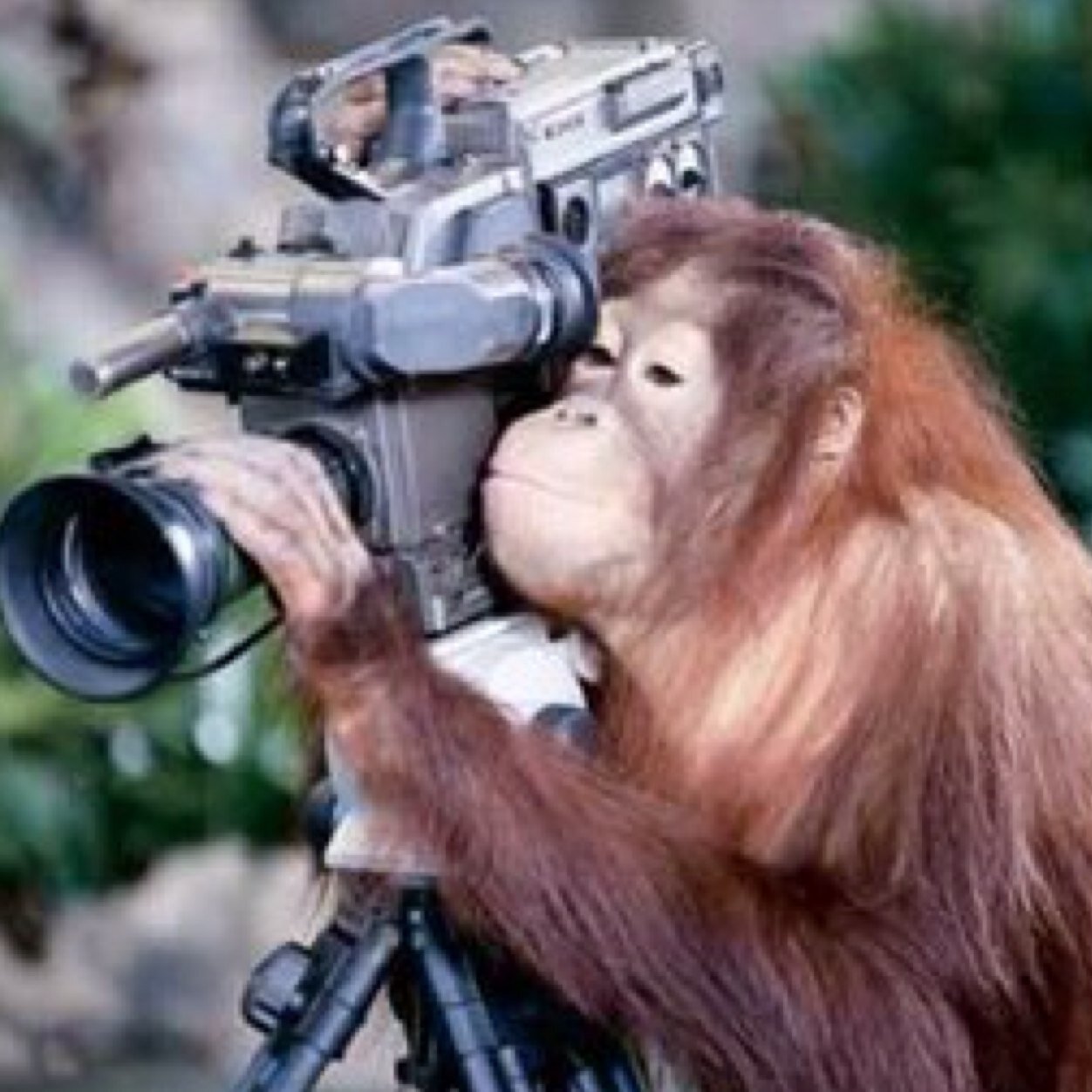 Photojournalist for CBS 11-KTVT (Dallas/Fort Worth)