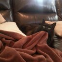 Isabelle Hunt - @Isabellehun - Twitter