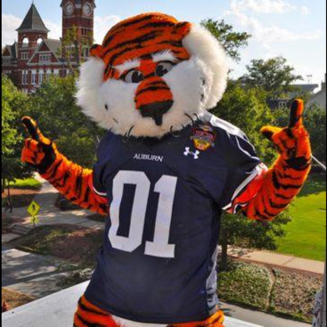 natmot's profile picture. Love my life, and of course anything Auburn!! WAR EAGLE!!