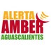 Alerta AMBER Ags (@aamber_ags) Twitter profile photo