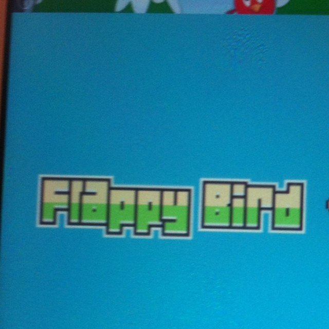ripflappybirdz's profile picture. The official tribute page to the beloved game 'Flappy Bird' taken away from us far too soon.. #Flappybird #RIP