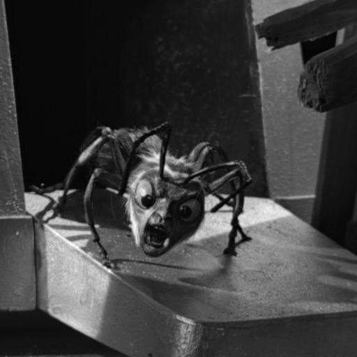 gnomonklater's profile picture. likes long walks on the beach