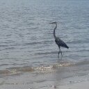 Eric Feimster - @ericfeimster - Twitter