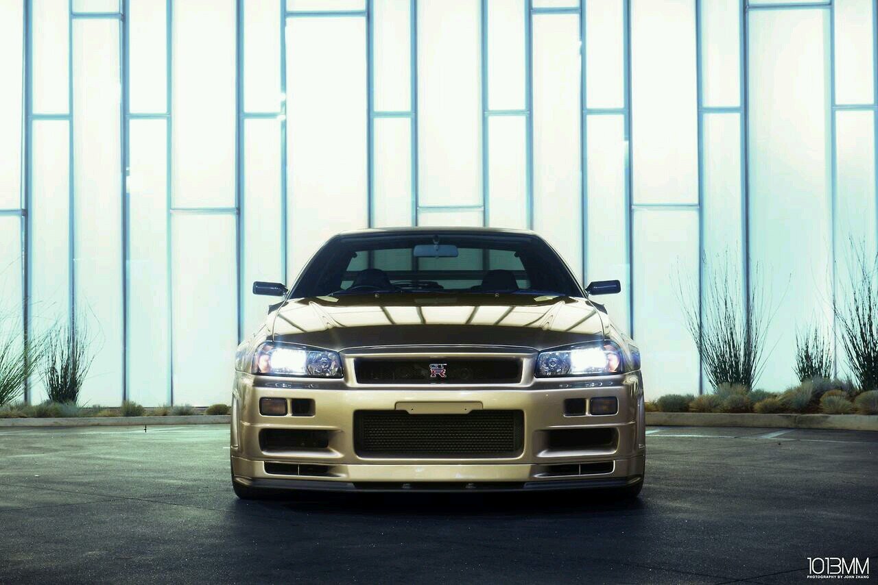 Piggybomb's profile picture. 