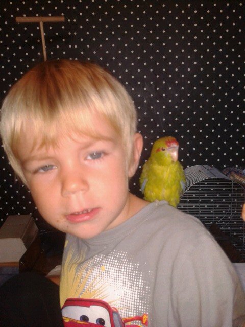 dannyvdl41's profile picture. 