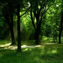 Mark Trumbo - @MarkTrumbo41 - Twitter