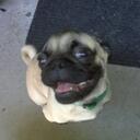 Cherry Chow - @cherrychowfun - Twitter