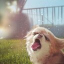 James Feazell - @Sirfeazell - Twitter