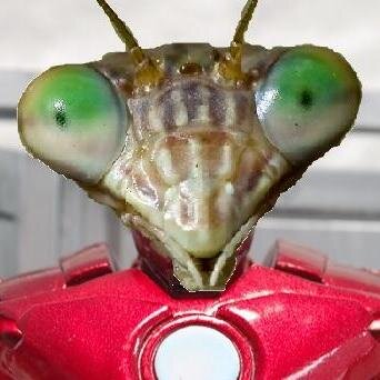 The millionaire philanthropinsect. Freelances as Iron Mantis on the weekends. Drives a pretty sweet ride.