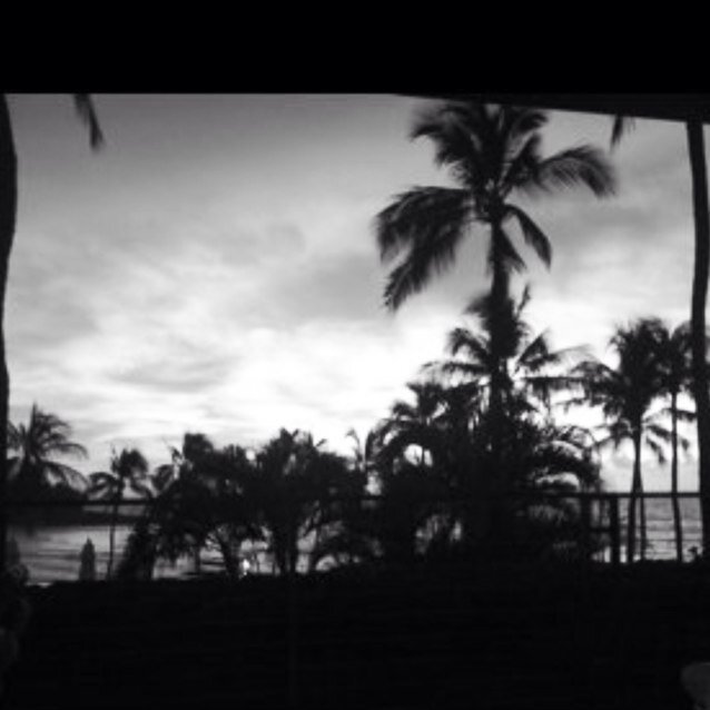 alxs87's profile picture. All I wanna do is have some fun....