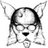 PburgHSSwim's profile image
