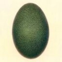 Seth Webb Hater - @Powerofpostive - Twitter